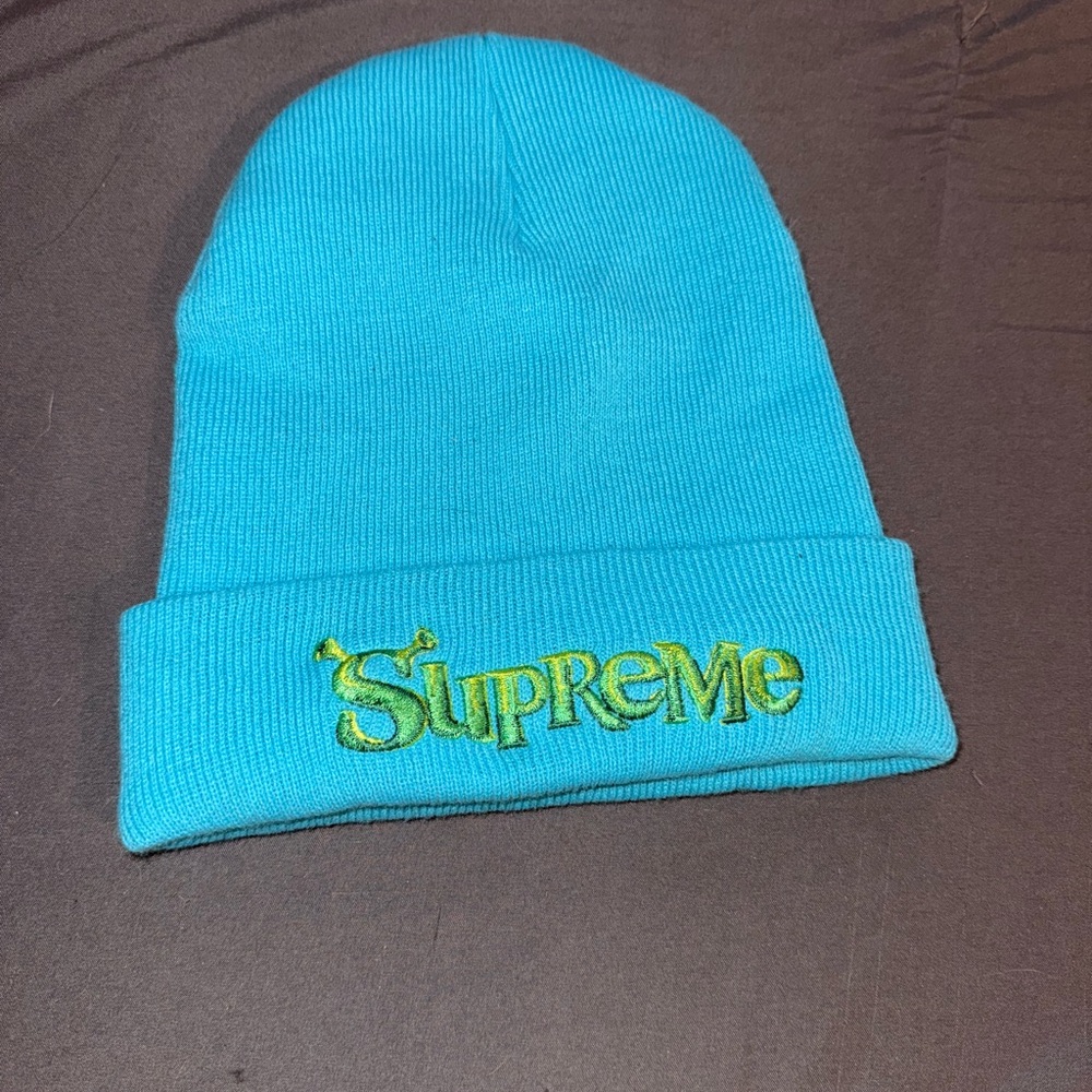 Supreme SHREK Blue Beanie